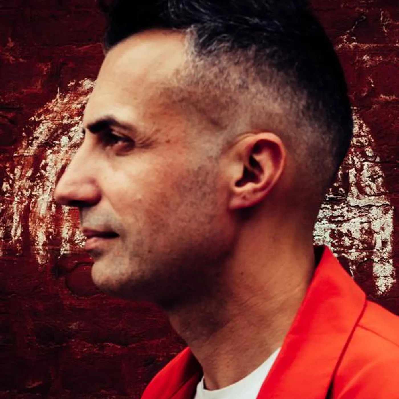 Dan Whitehouse Brand Page