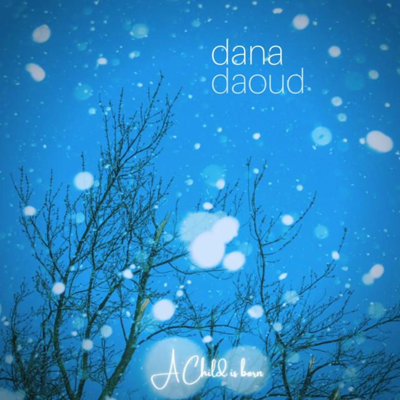 Dana Daoud