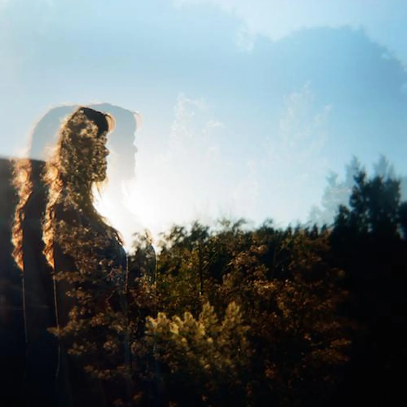 dana falconberry Brand Page