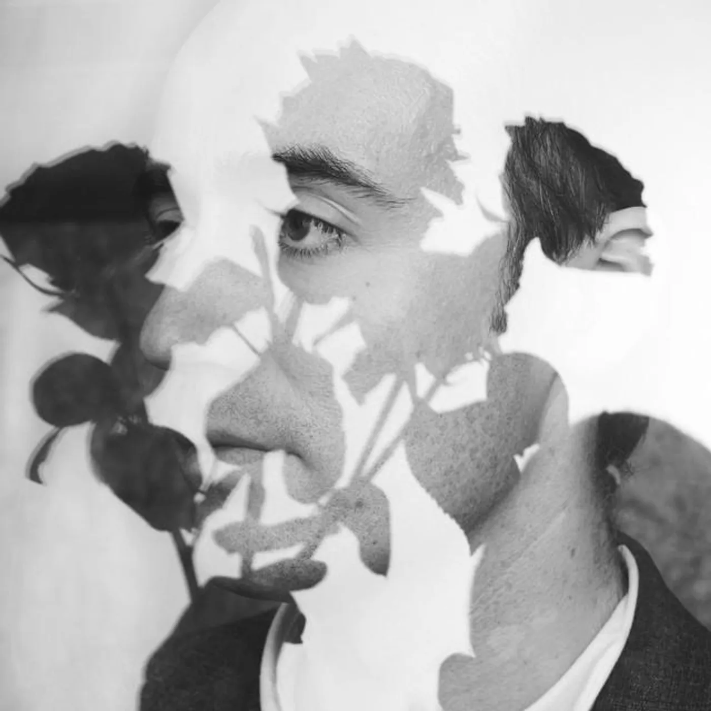 Daniel O'Sullivan Brand Page