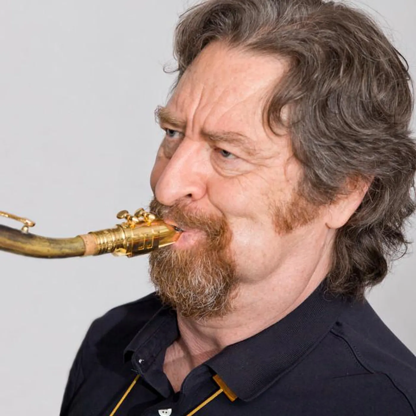 Daniel Guggenheim Quartet Brand Page