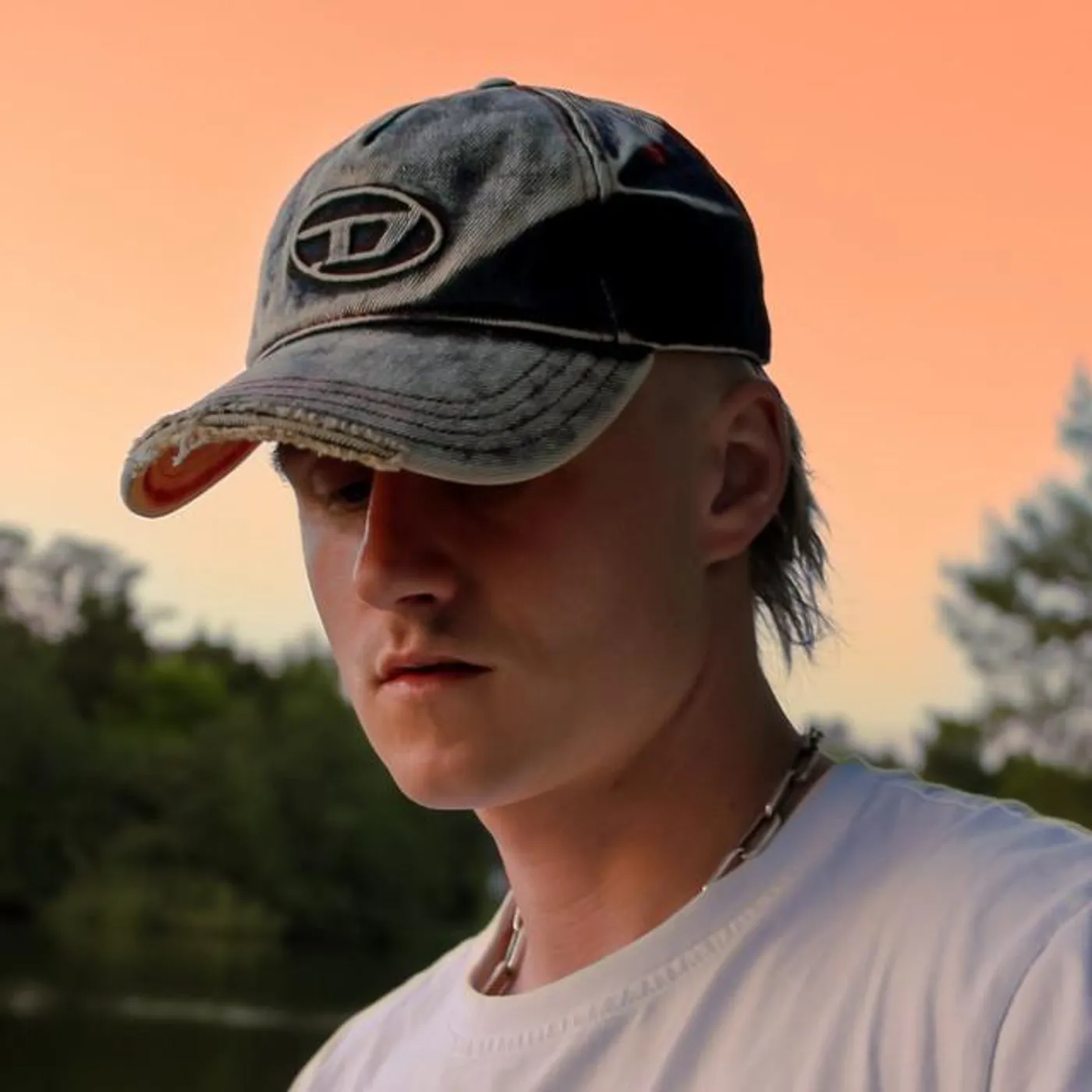 Daniel Schulz Brand Page