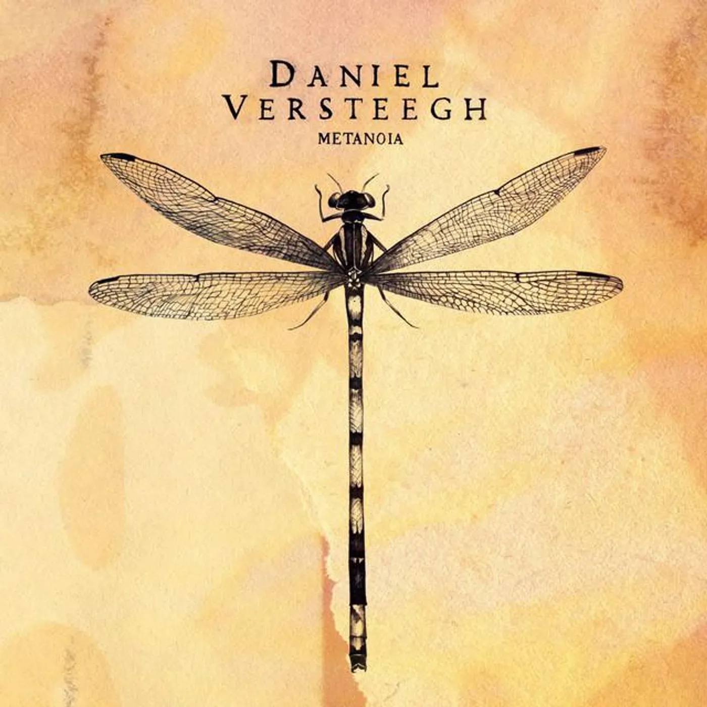 Daniel Versteegh