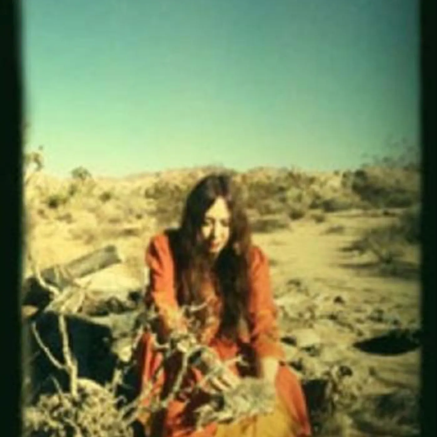 Danielle De Picciotto Brand Page