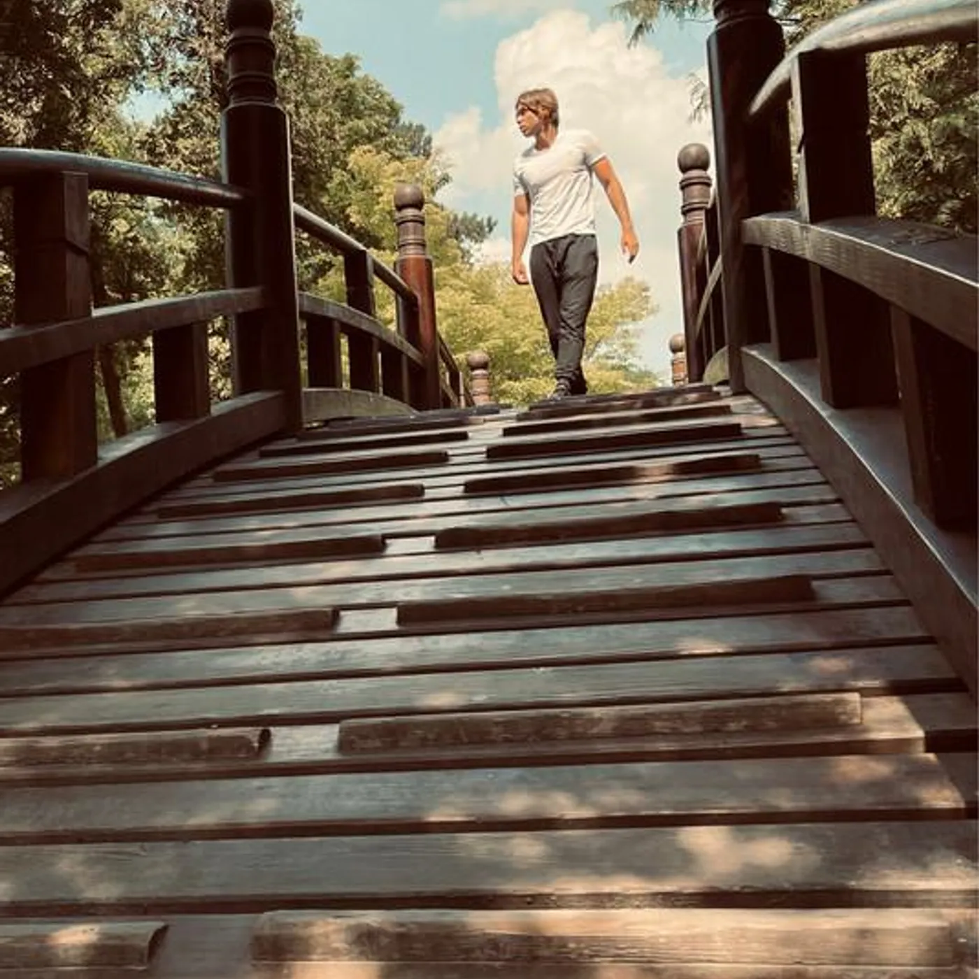 DaniSogen Brand Page