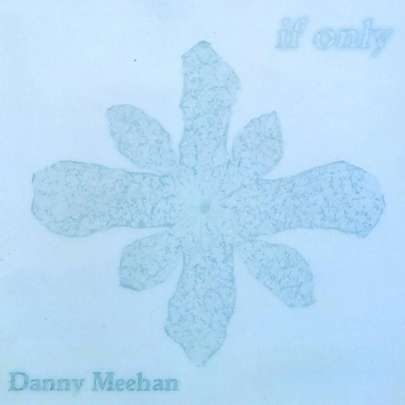 Danny Meehan