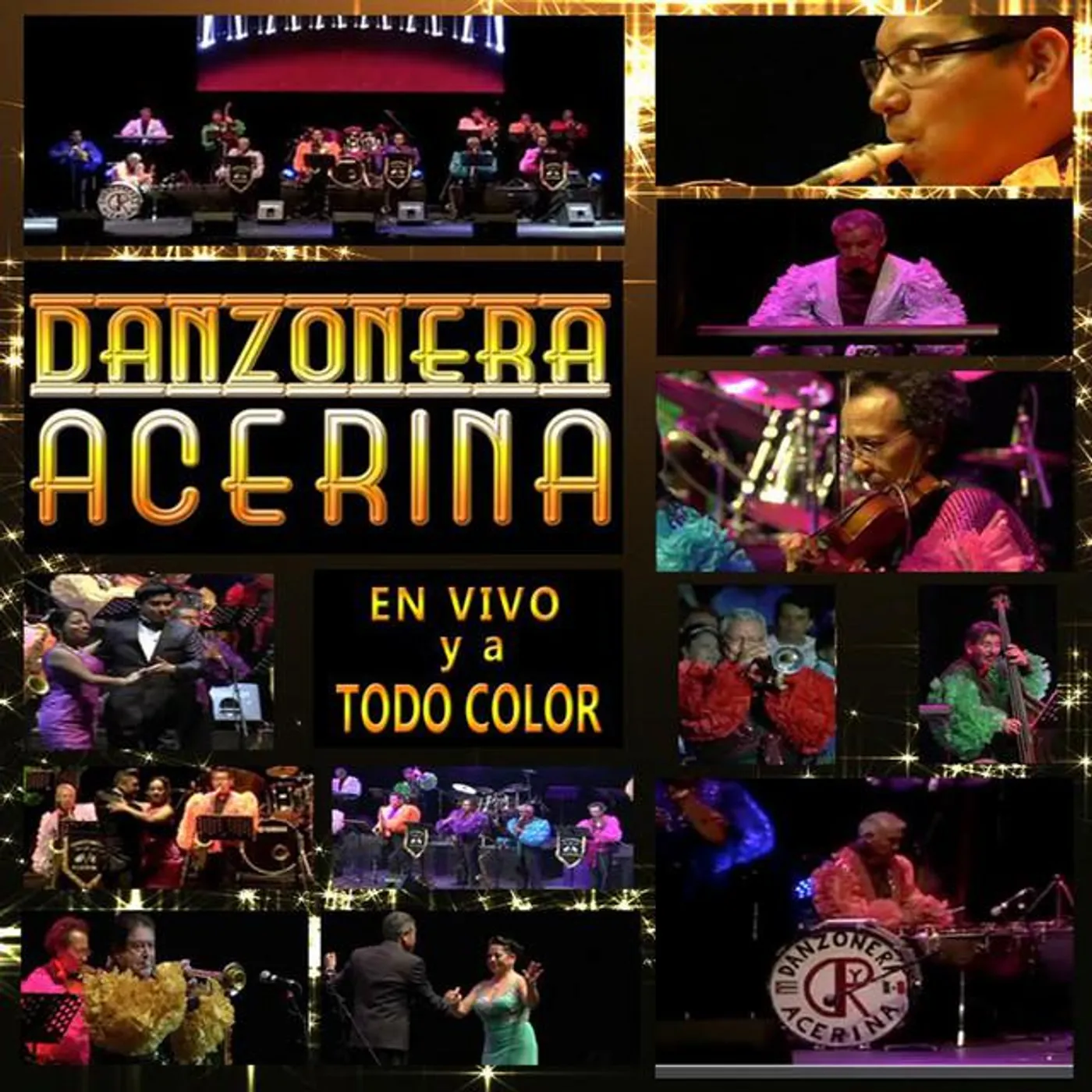 Danzonera Acerina Brand Page