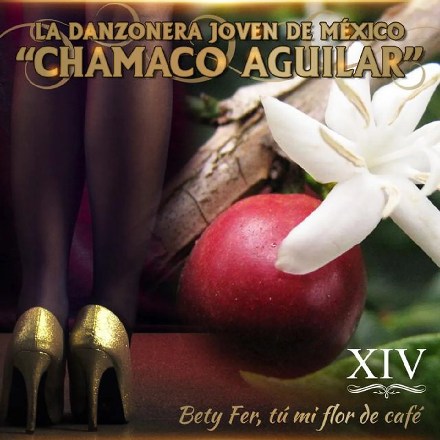 Danzonera Joven De Mexico De Chamaco Aguilar