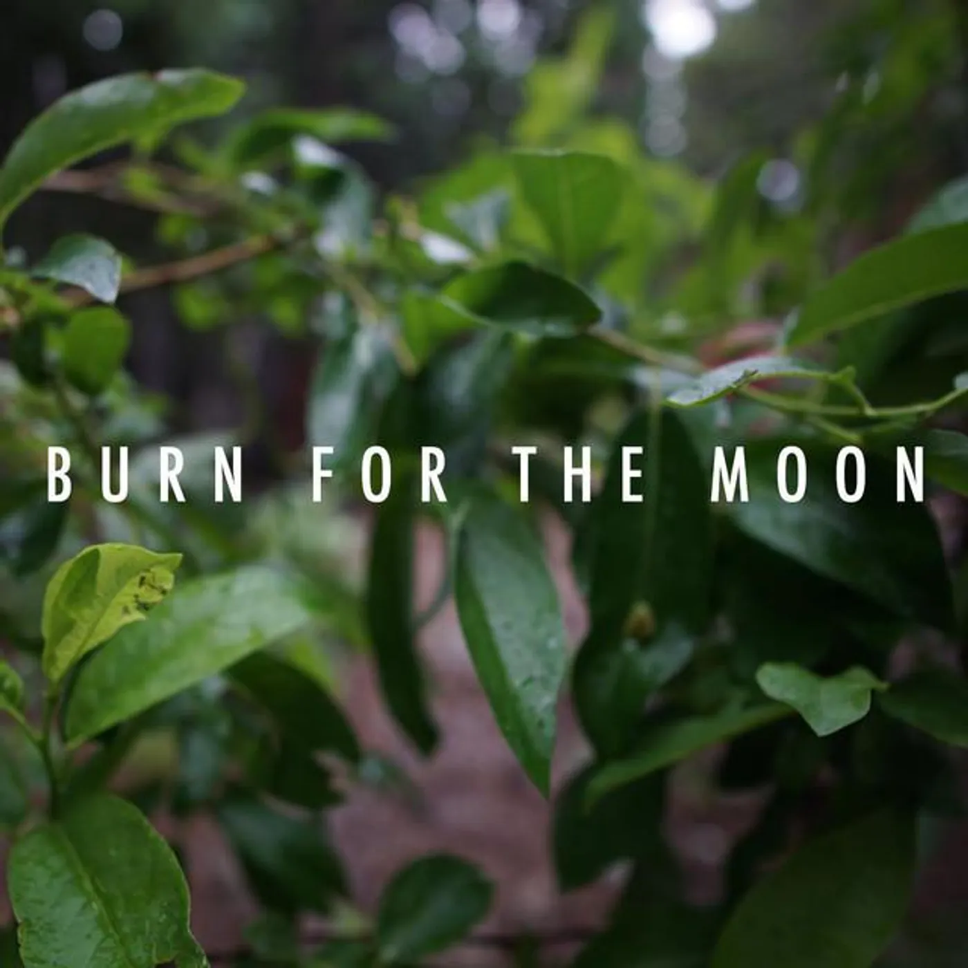 Darker Shapes Brand Page