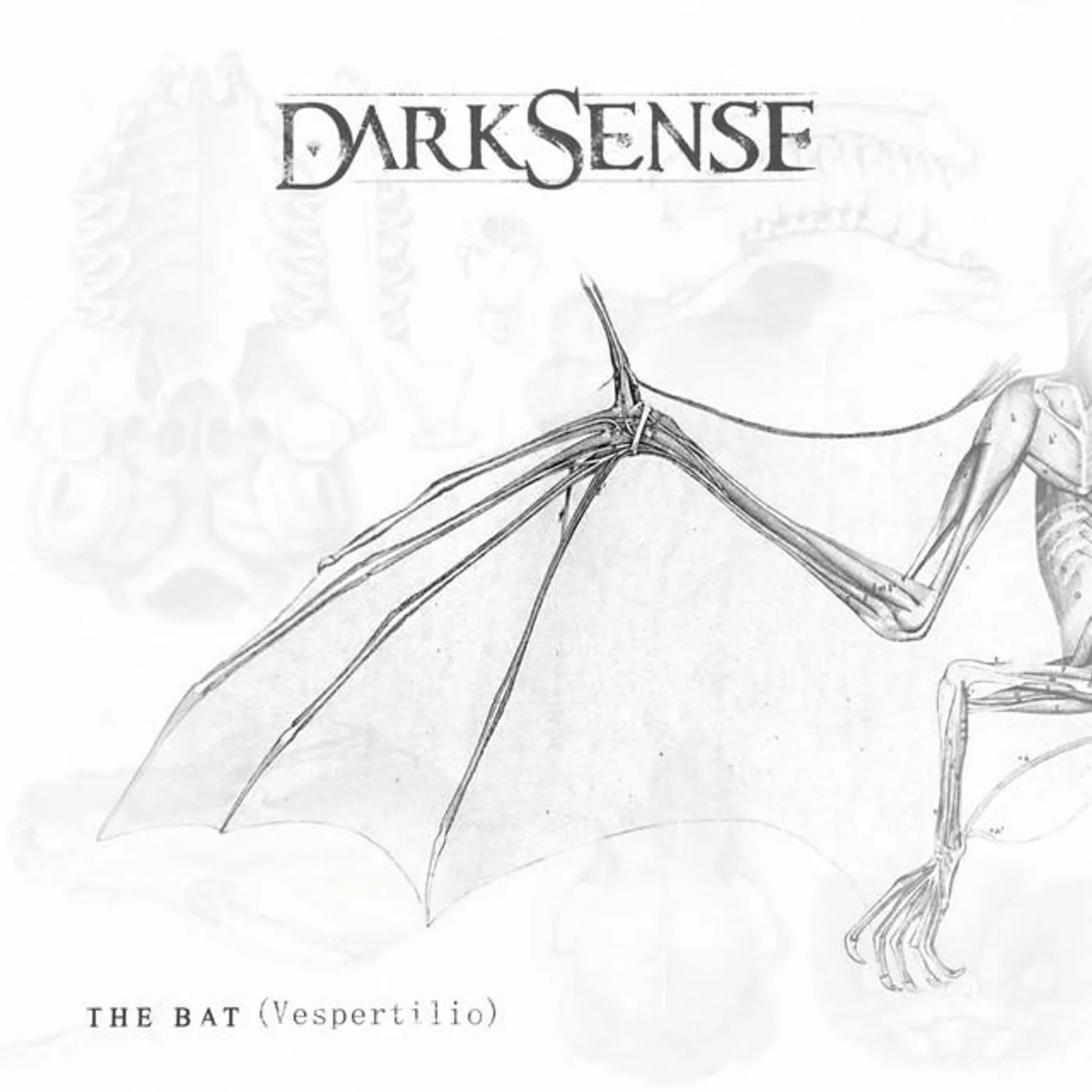 Darksense