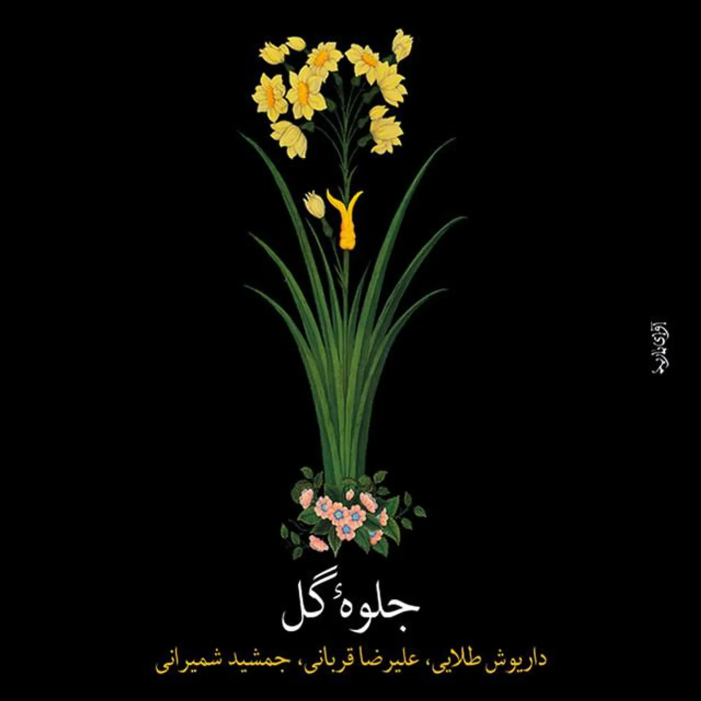 Dariush Talai Brand Page