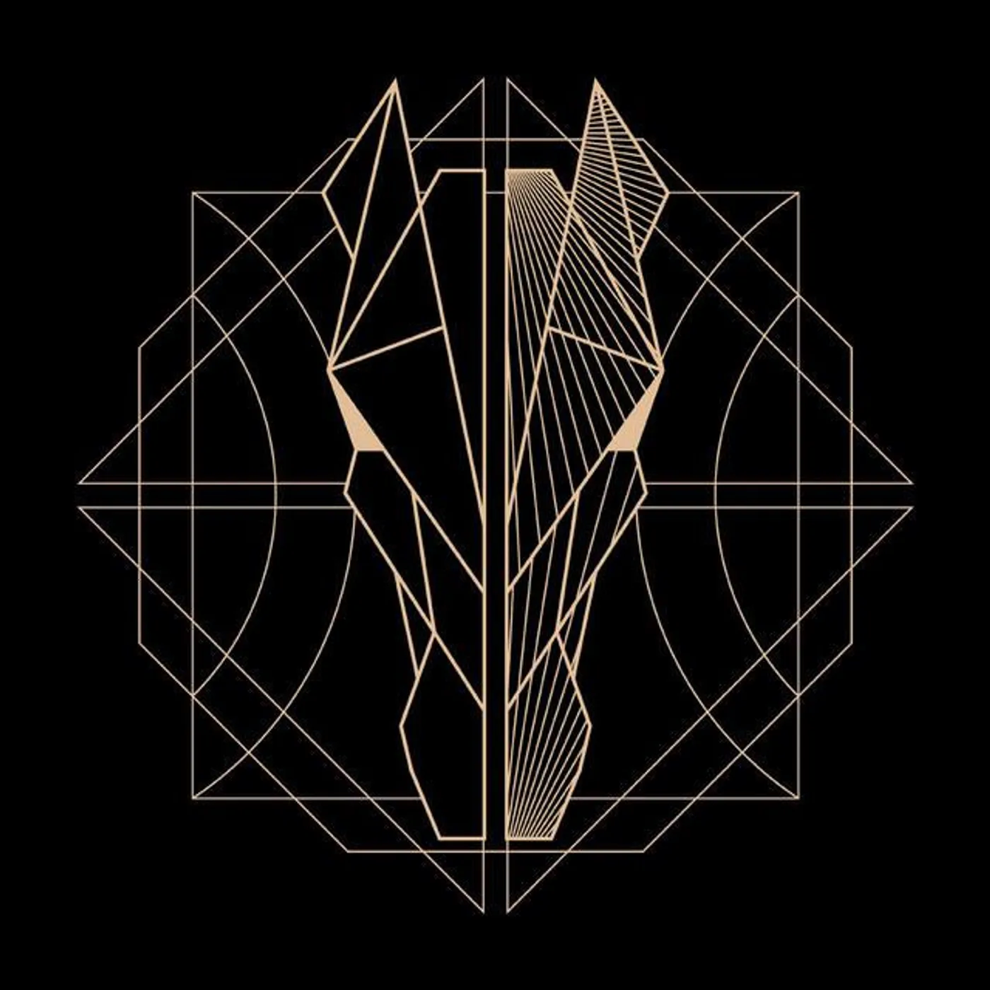 Dark Horse White Horse