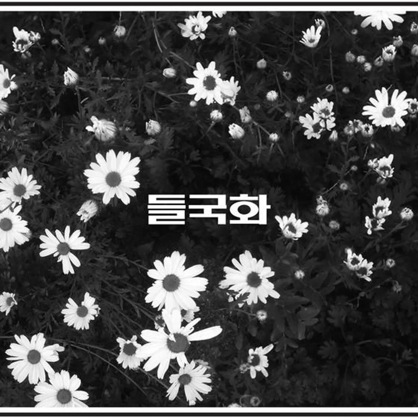 Deul Guk Hwa Brand Page