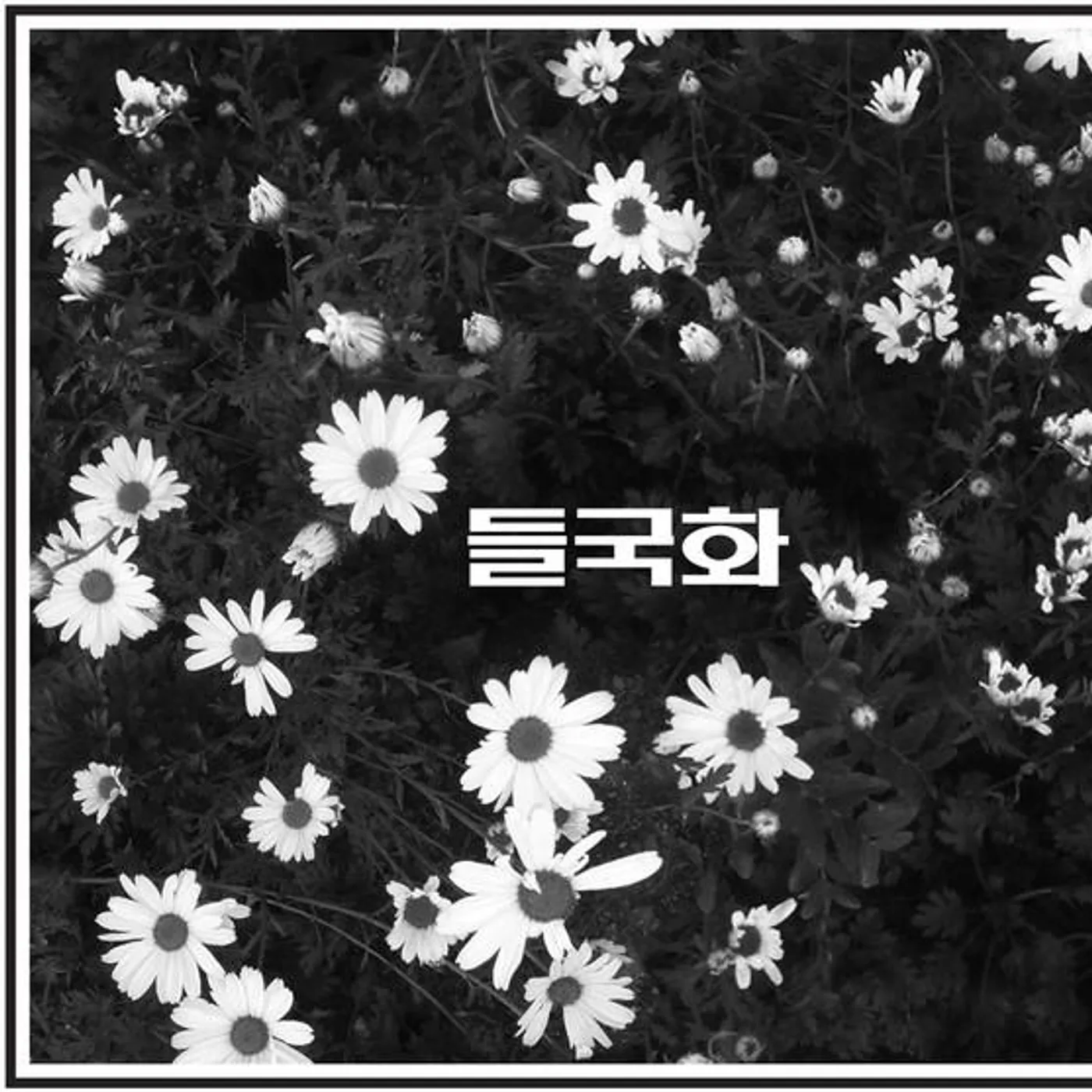 Deul Guk Hwa Brand Page