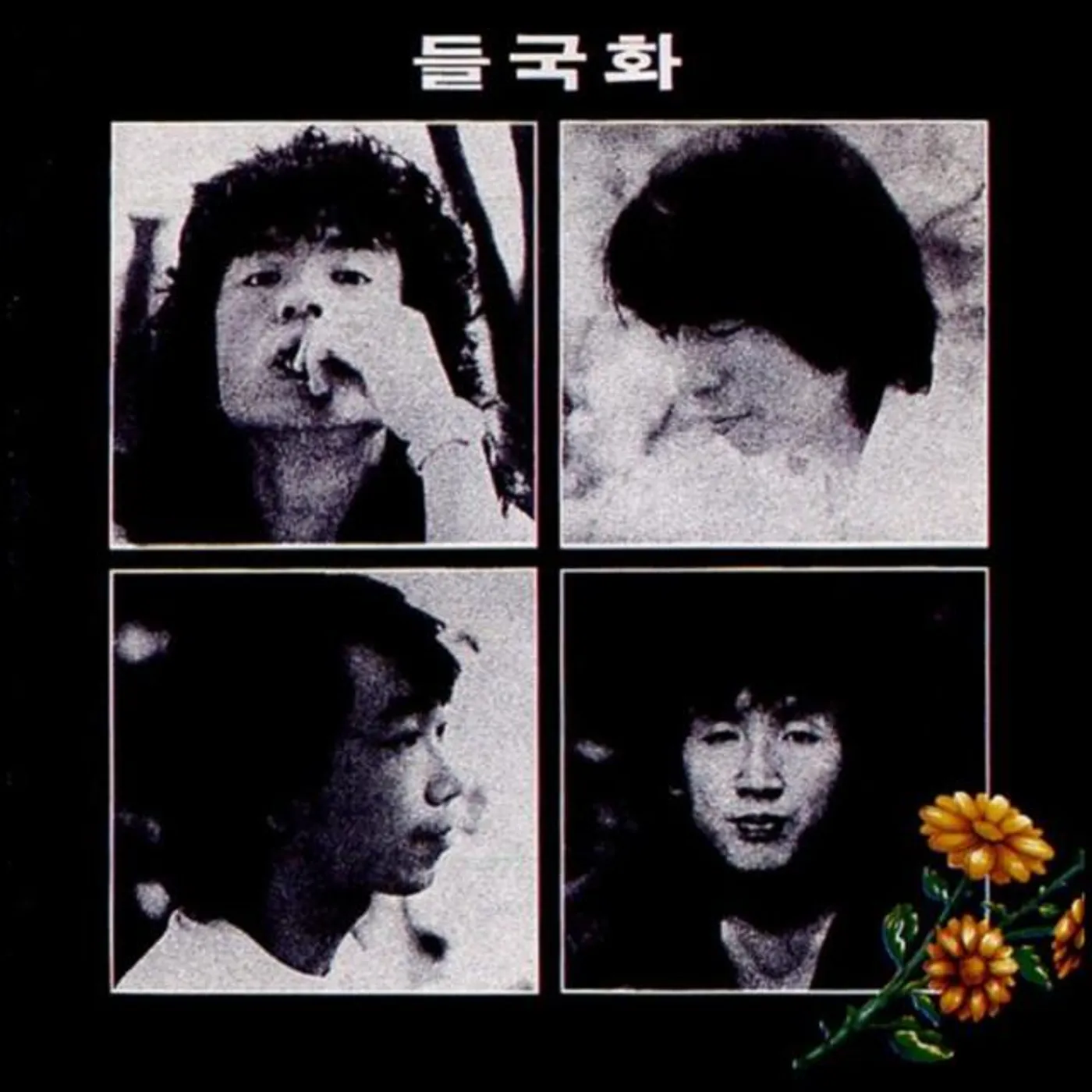 Deulgukhwa Brand Page