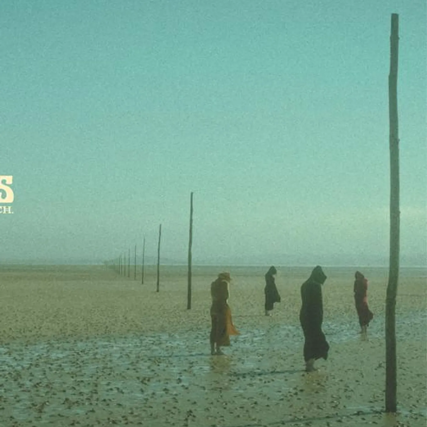 Devil's Witches Brand Page