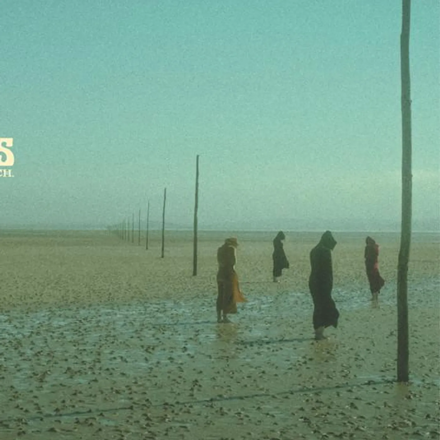 Devil's Witches Brand Page