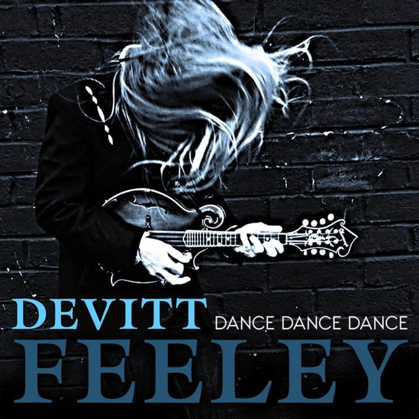 Devitt Feeley Brand Page
