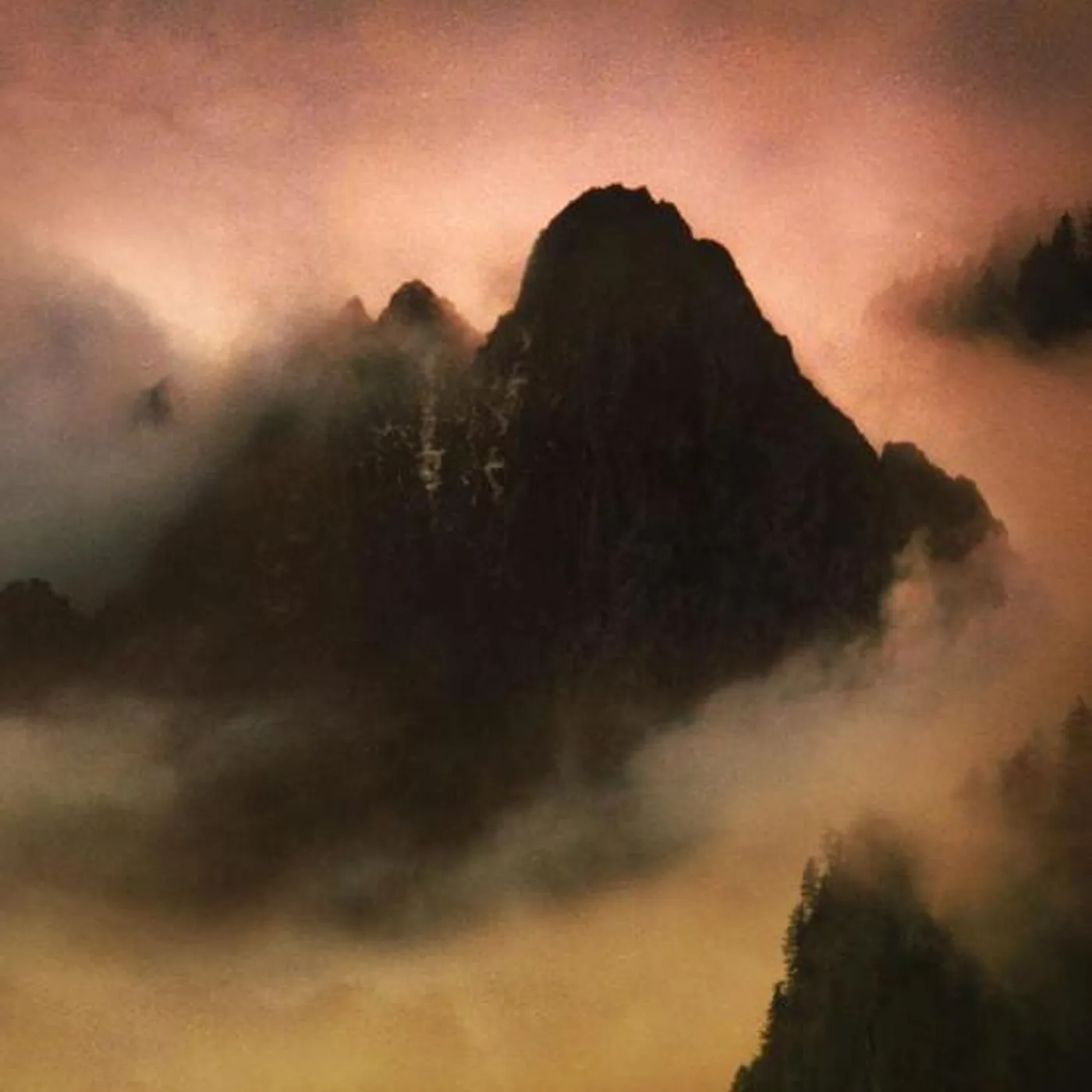 Dead To A Dying World Brand Page