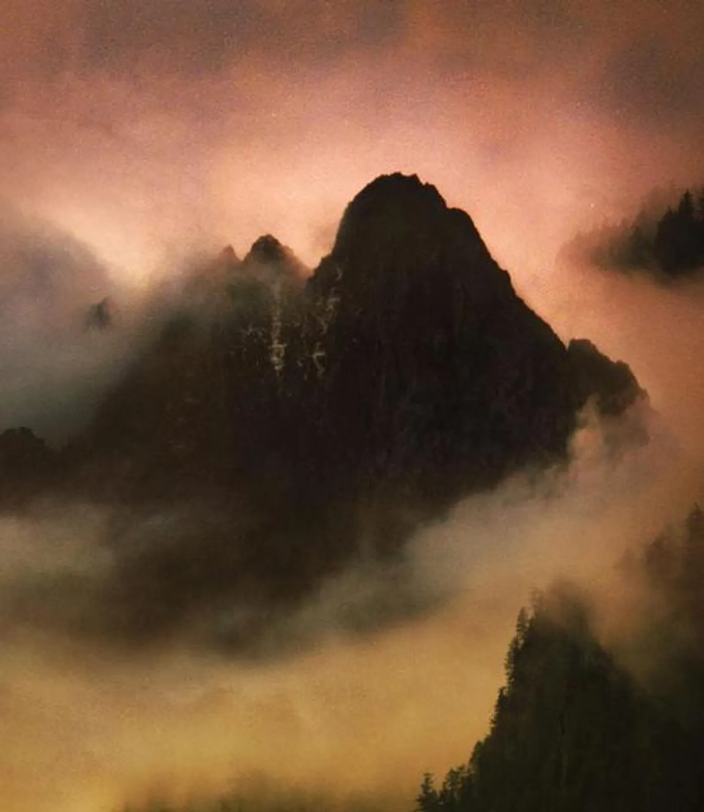 Dead To A Dying World