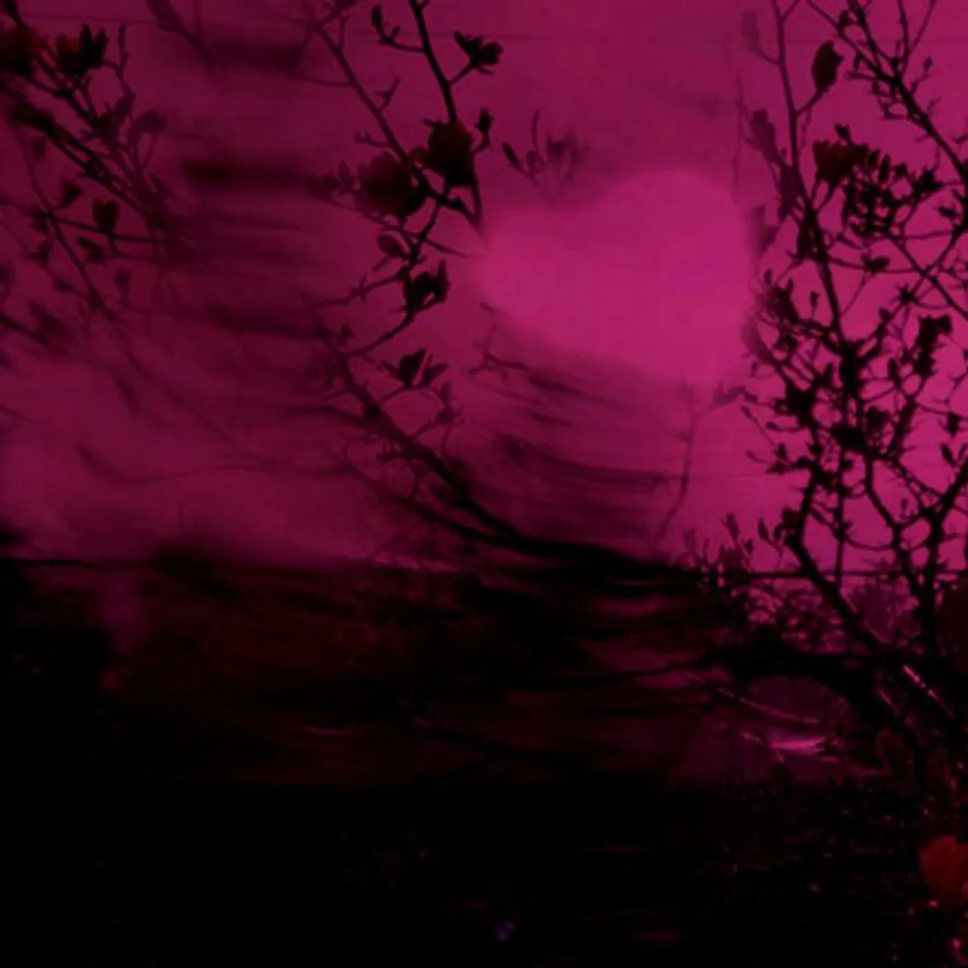 Dead Bandit Brand Page