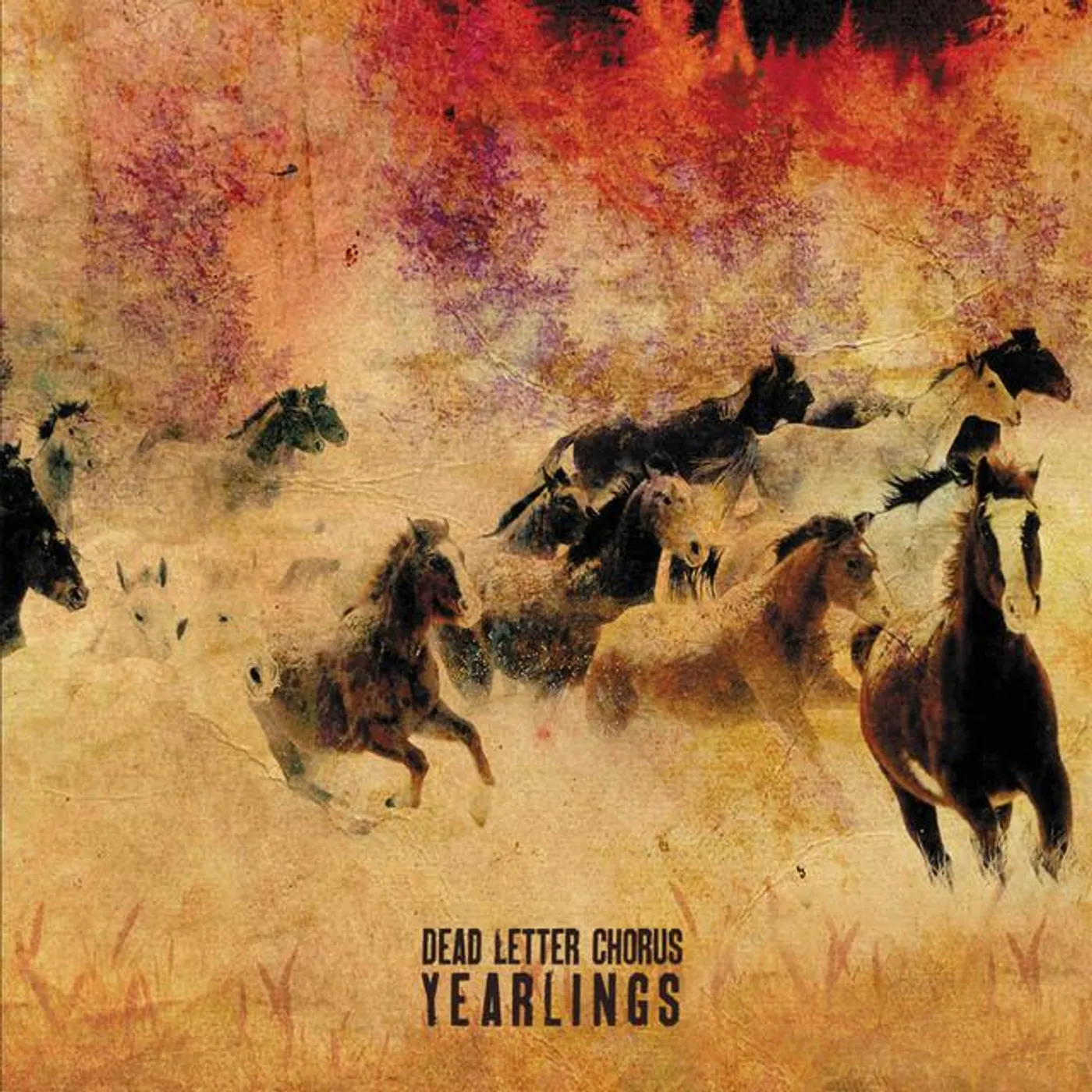 Dead Letter Chorus Brand Page