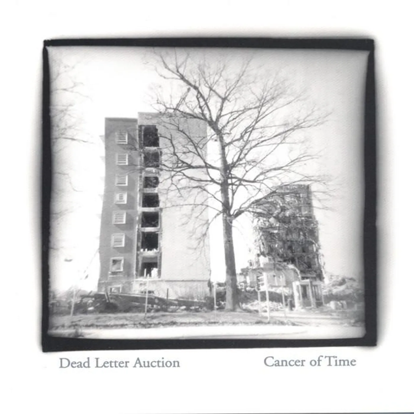 Dead Letter Auction