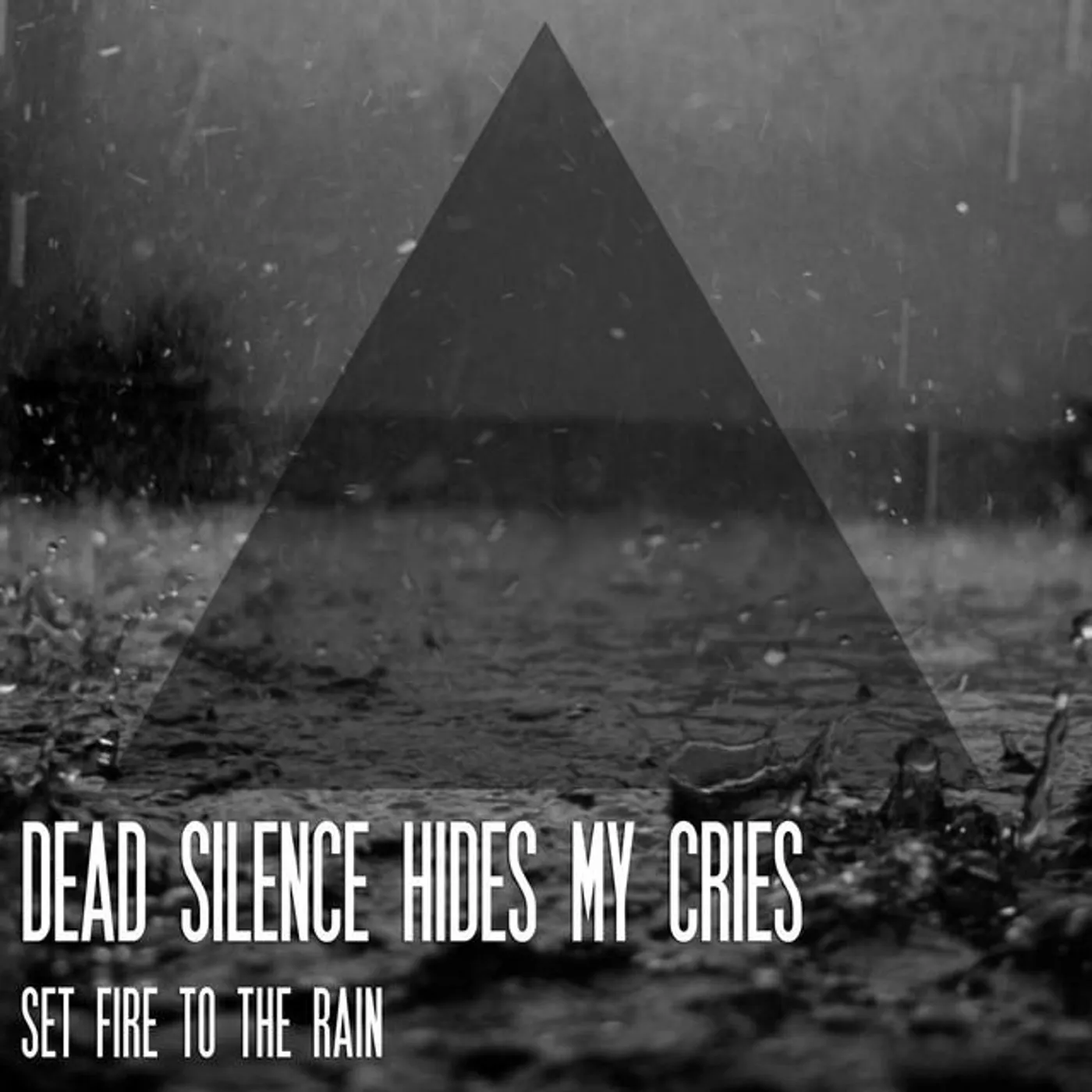 Dead Silence Hides My Cries Brand Page