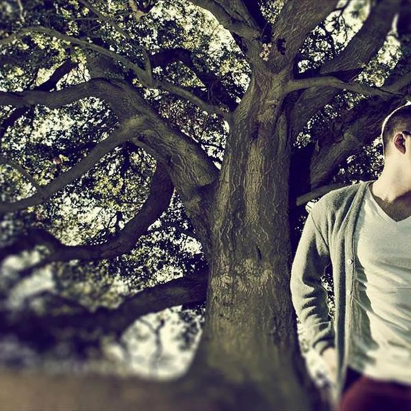 Dean De Benedictis Brand Page