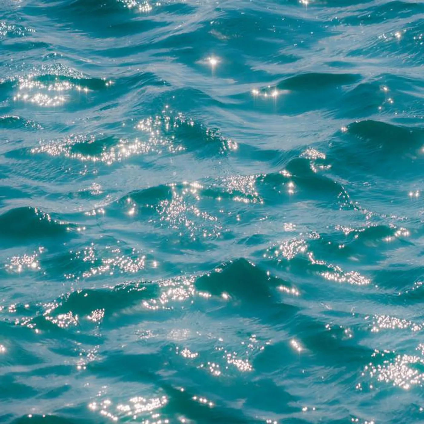 Dear Jazz Orchestra Brand Page