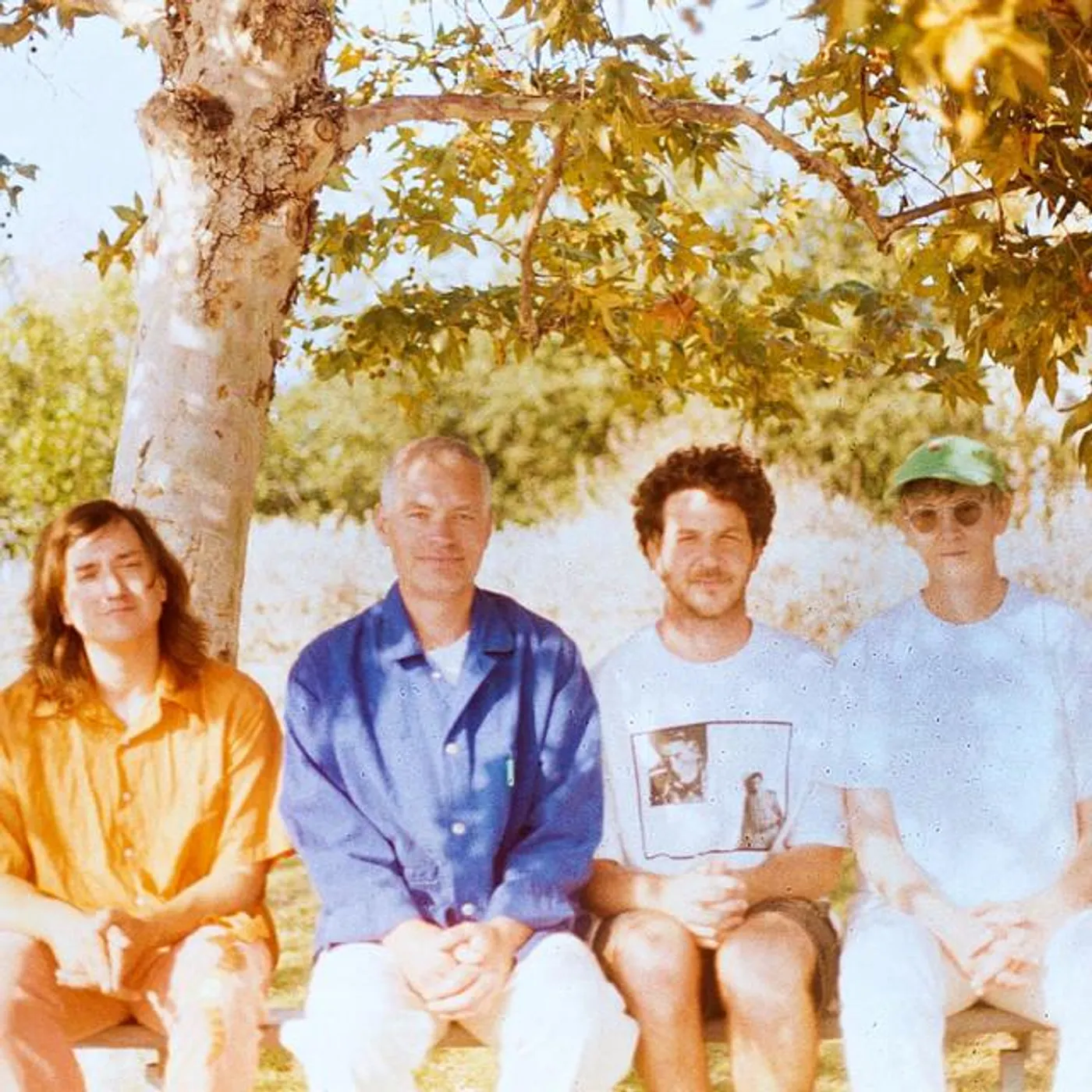 Dear Nora Brand Page