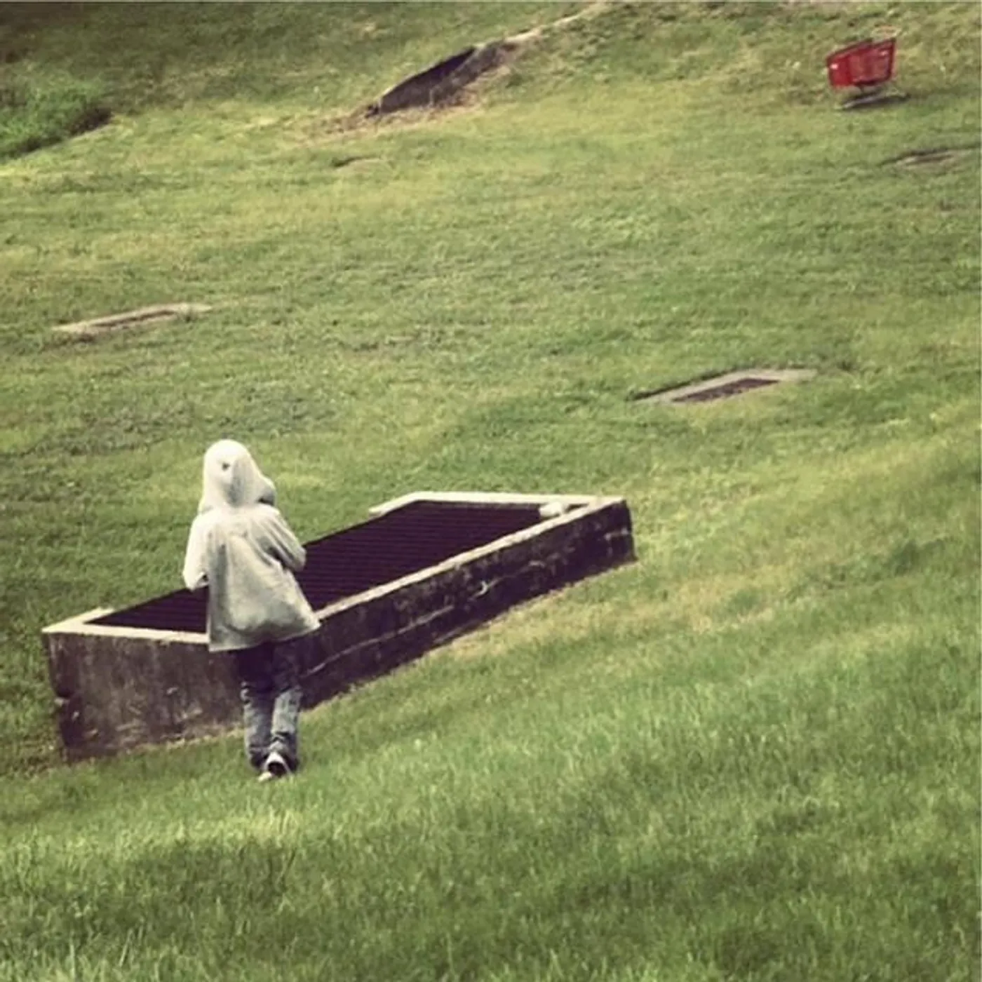 Dear Pines Brand Page