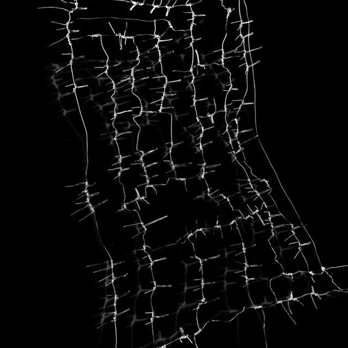 deathcrash Brand Page