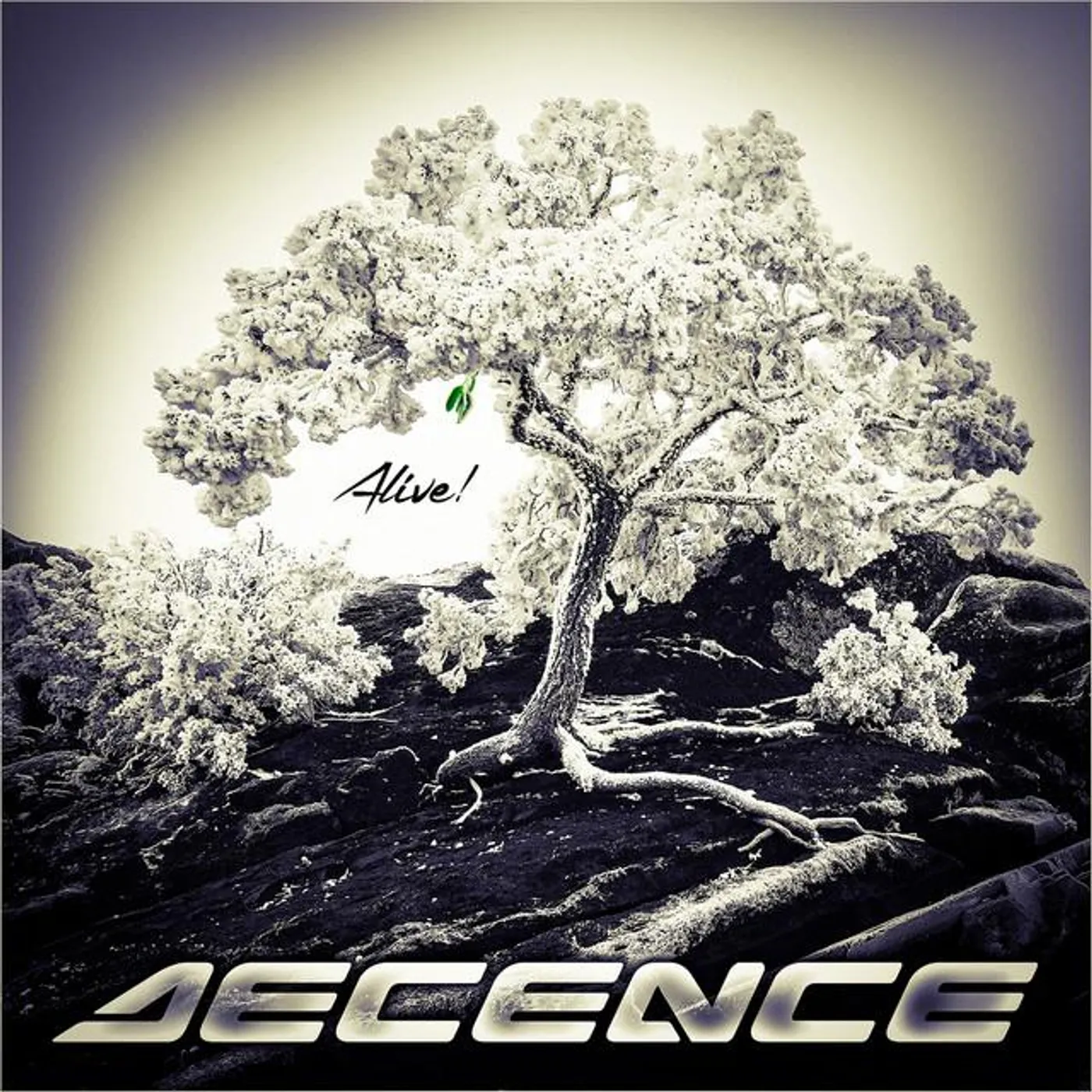 Decence Brand Page