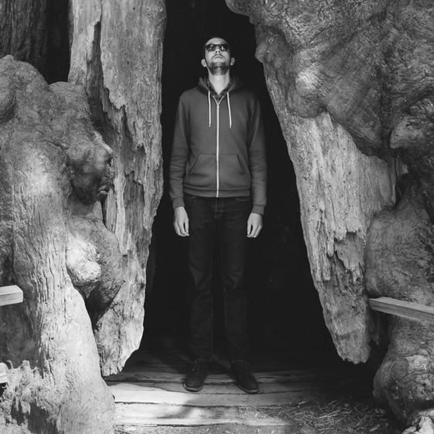 Deceptikon Brand Page