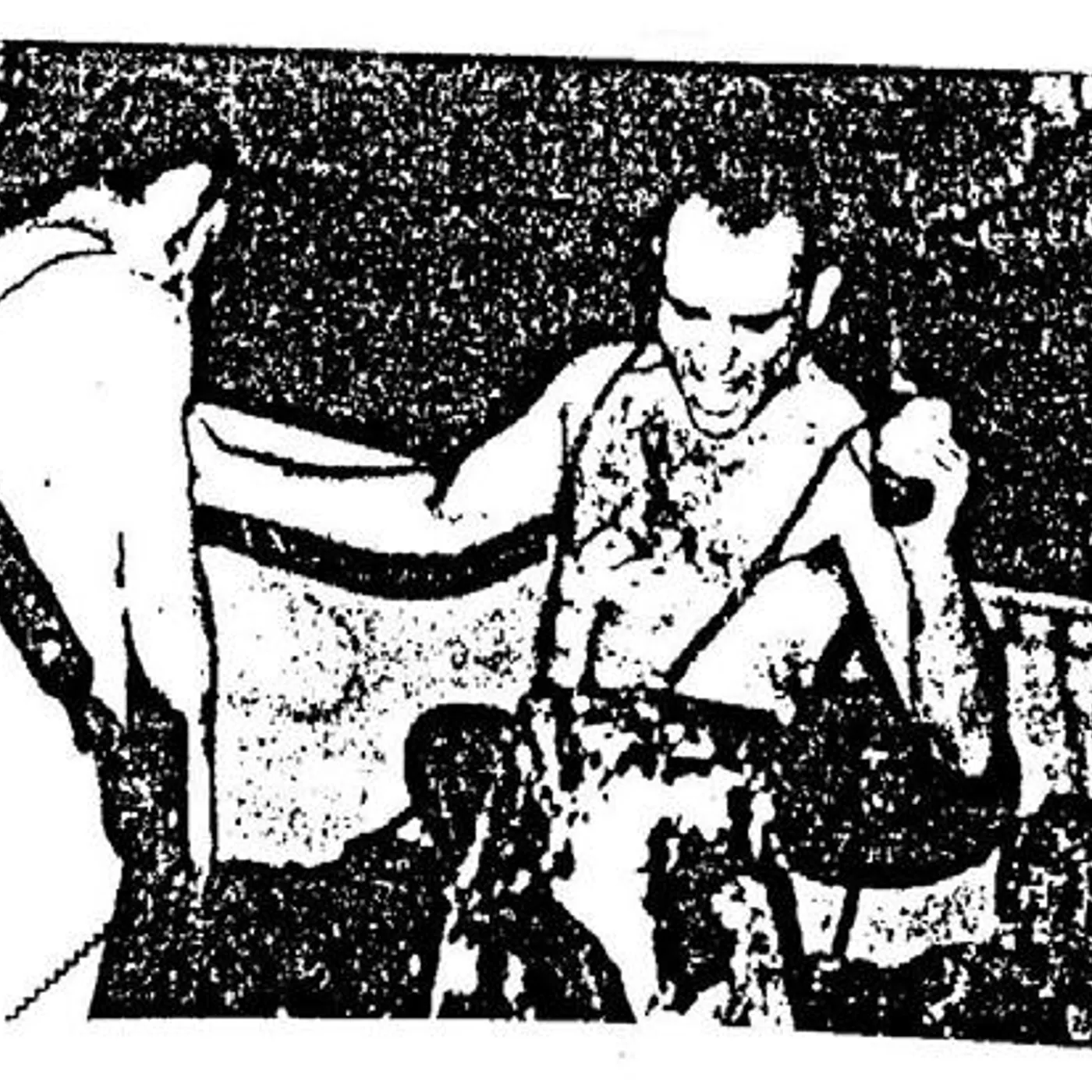 Decibelios Brand Page