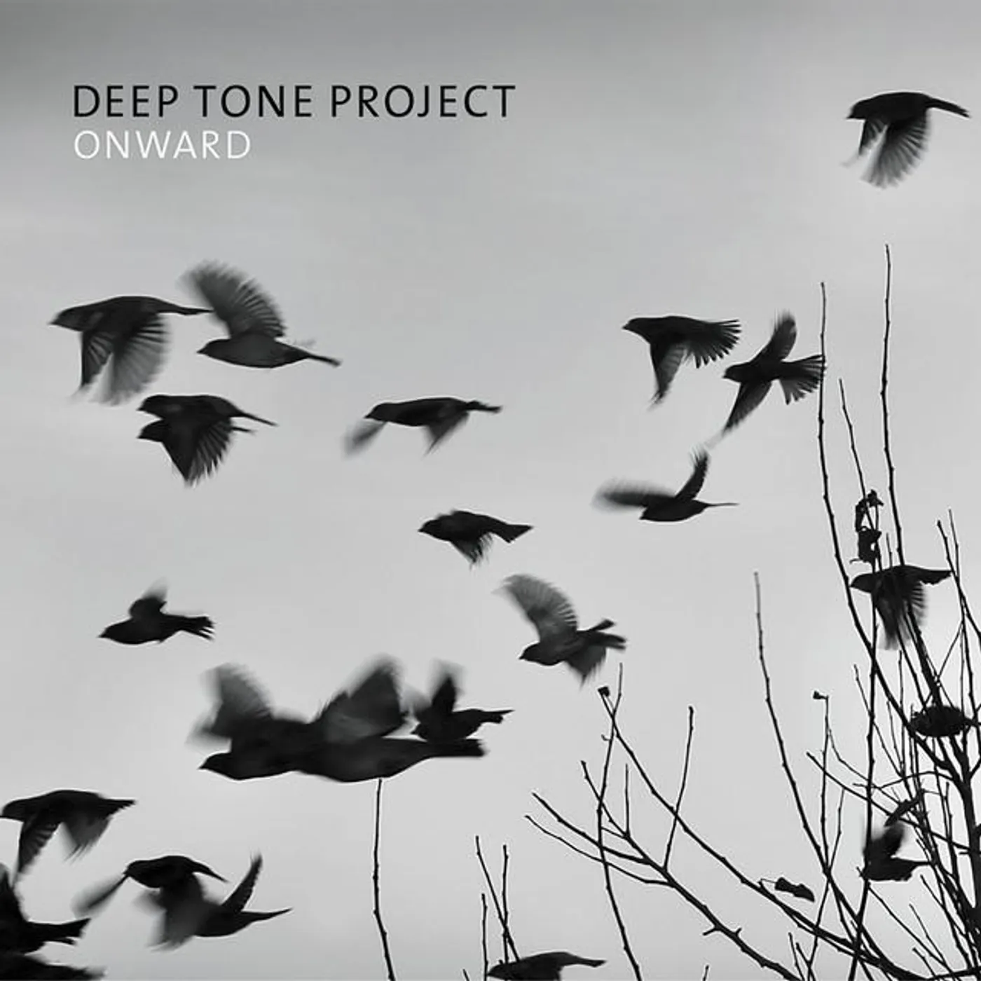 Deep Tone Project