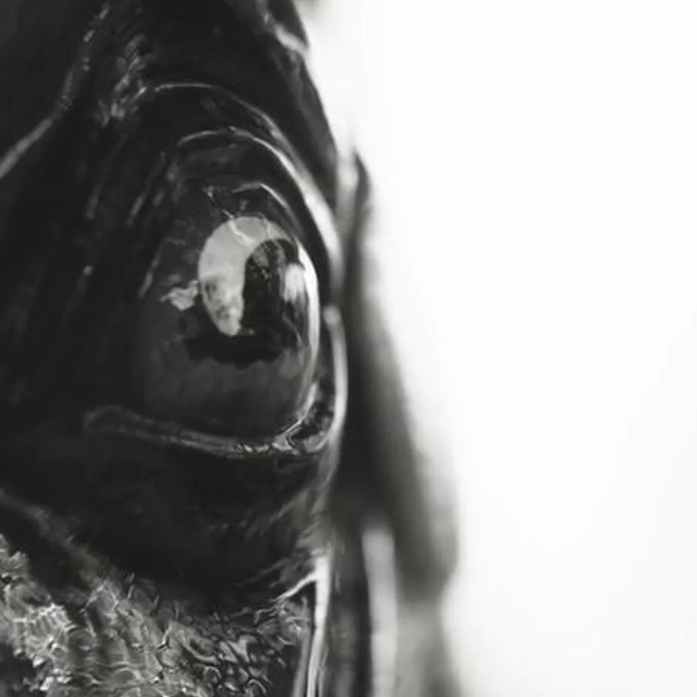 Deepfield Brand Page