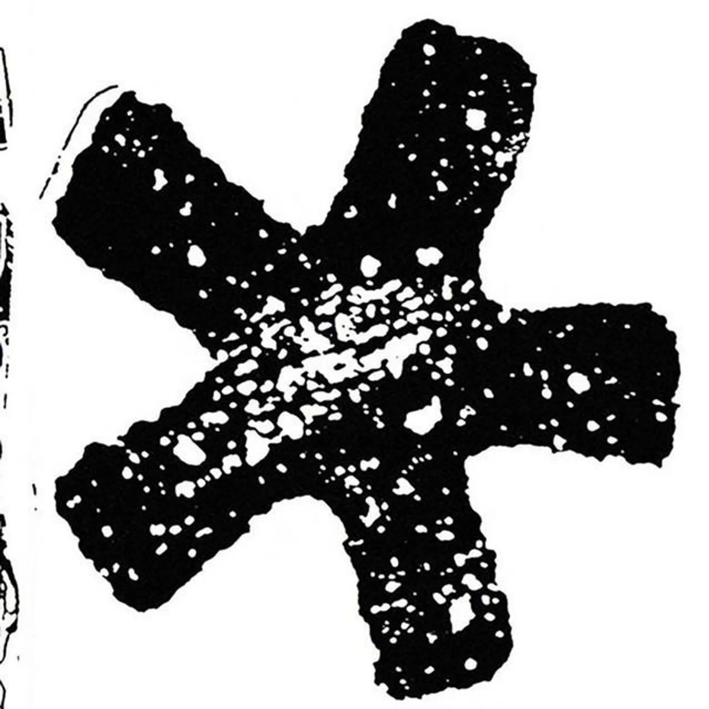 The Degenerics Brand Page