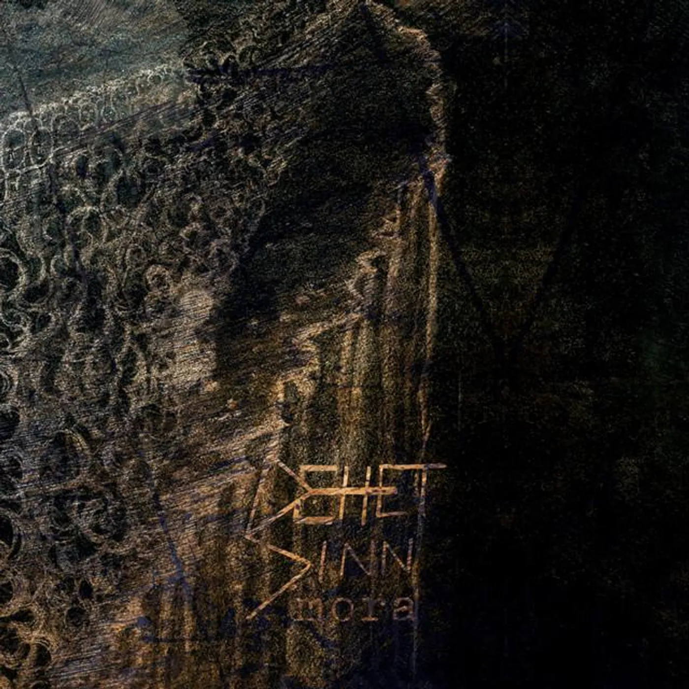 Dehet Sinn Brand Page