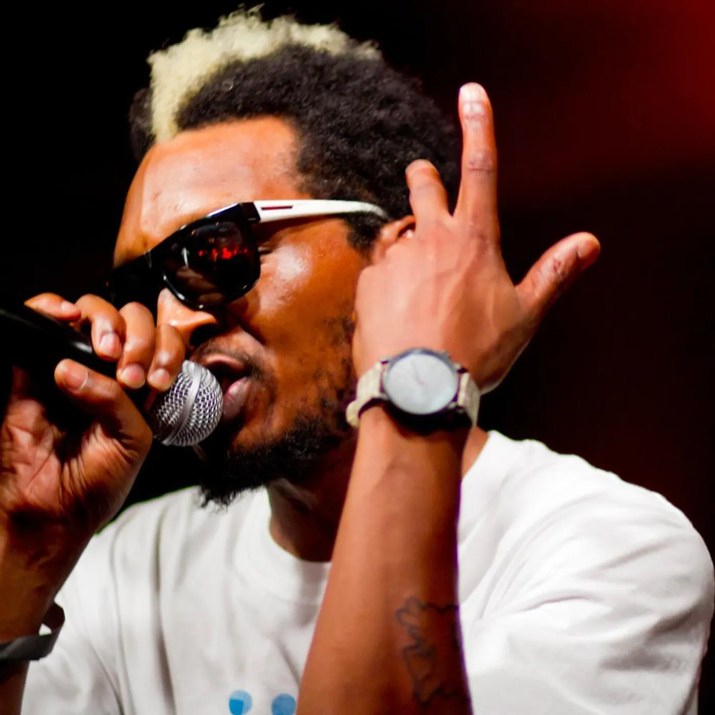 Del The Funky Homosapien Brand Page