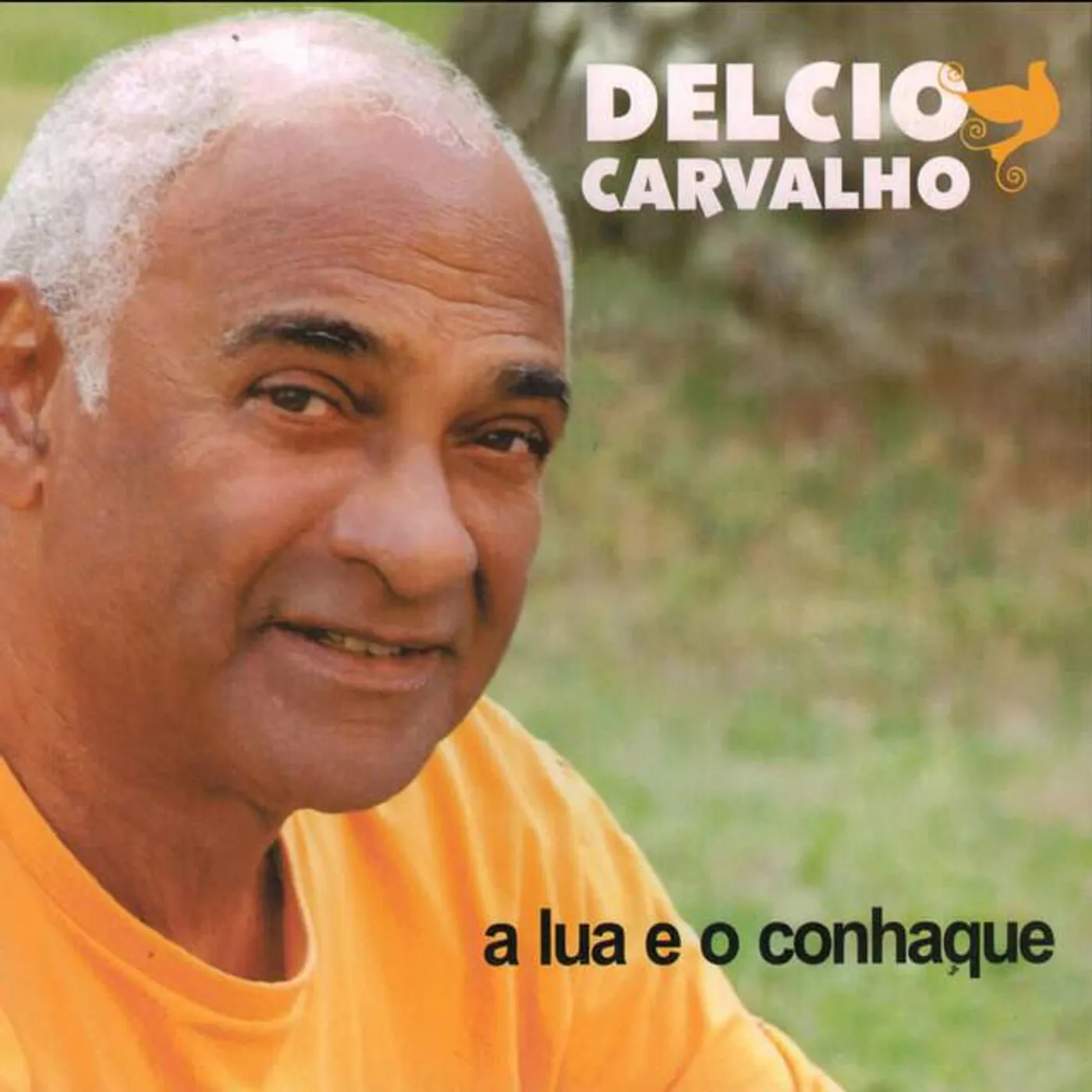 Delcio Carvalho Brand Page