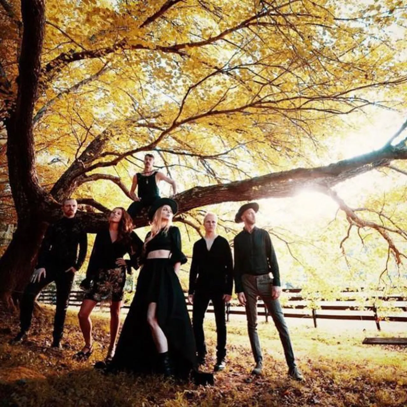 Delta Rae Brand Page