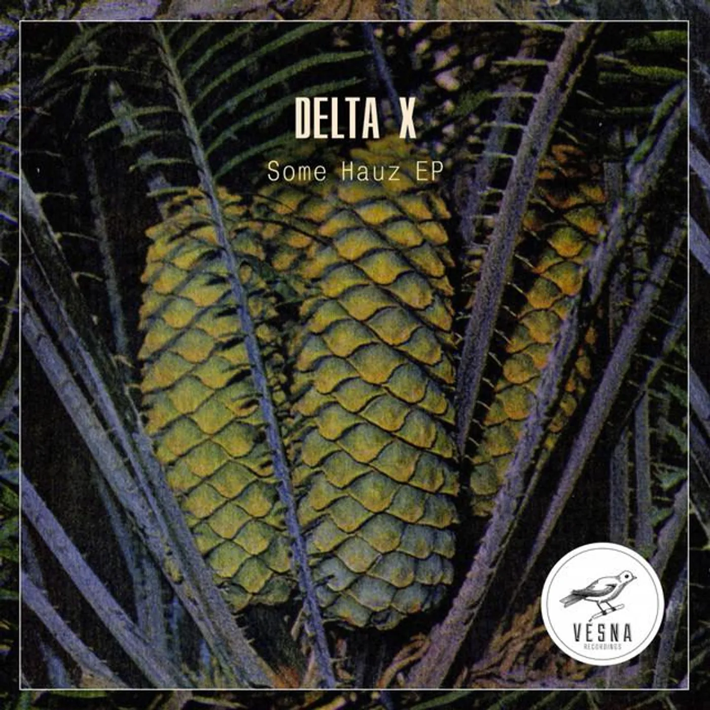 Delta X