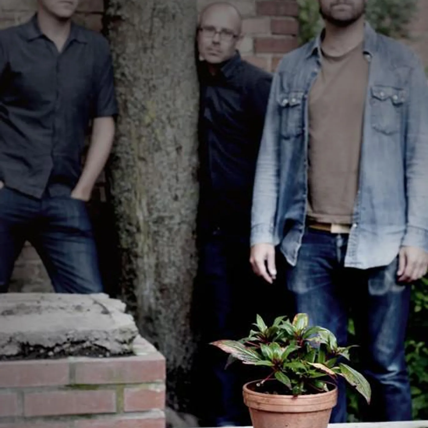 Den Svenska Tystnaden