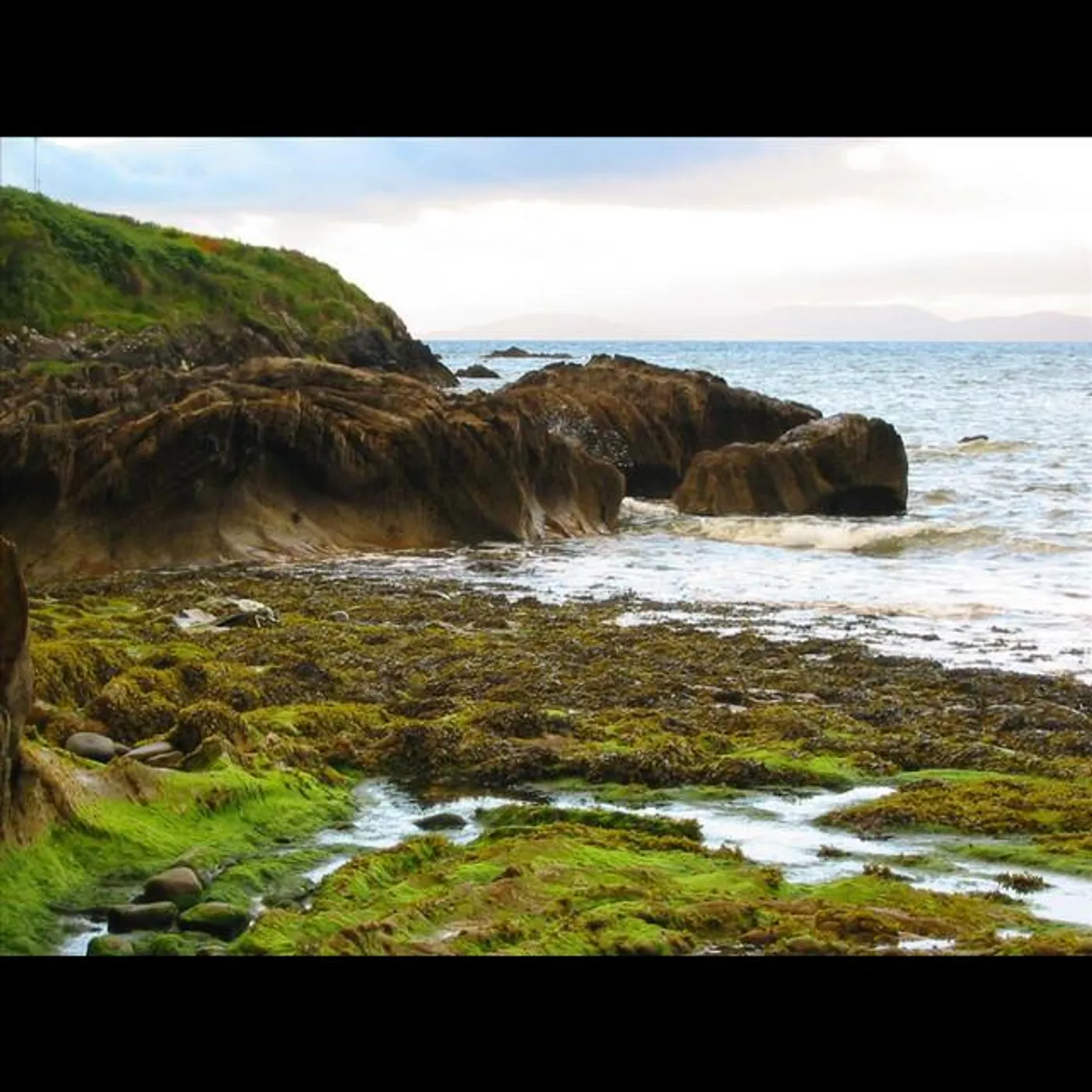 Dennis Cahill Brand Page