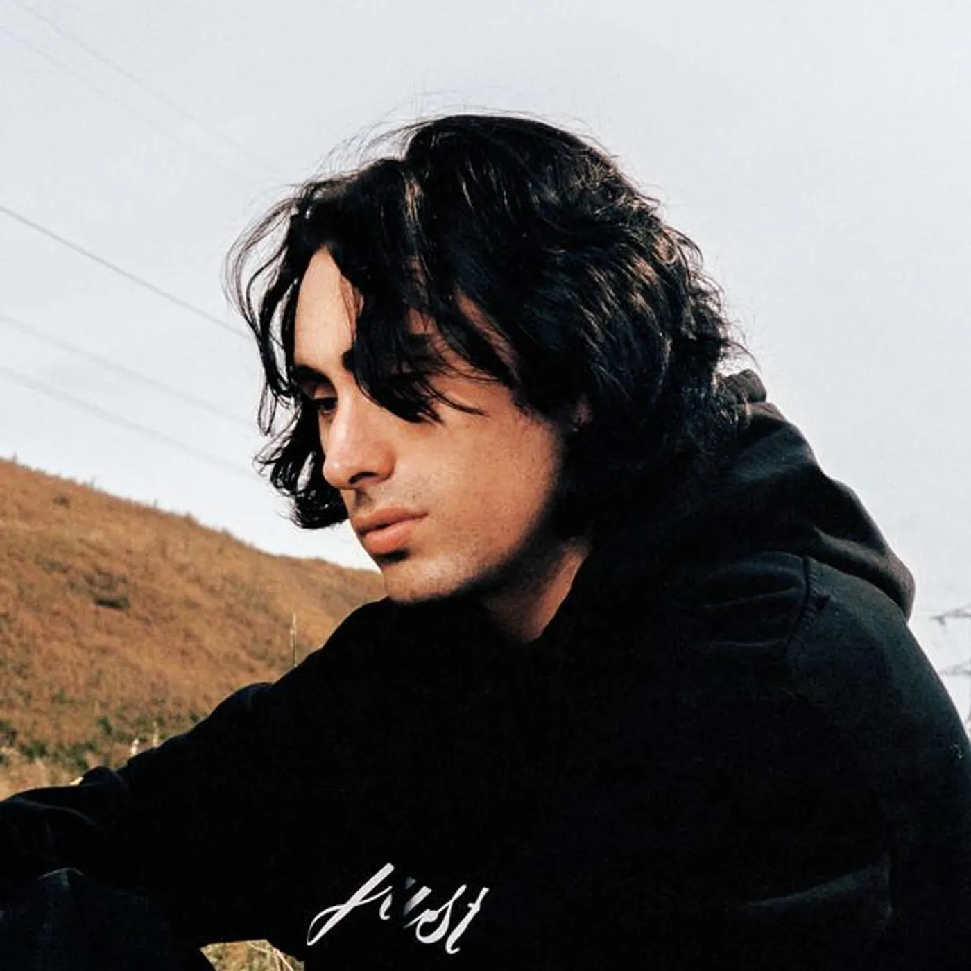 Depresión Sonora Brand Page