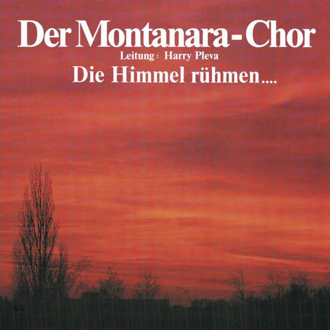 Der Montanara Chor