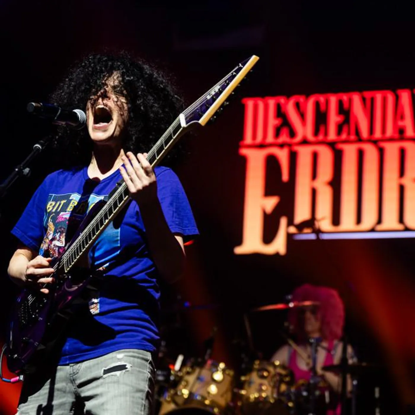 Descendants Of Erdrick