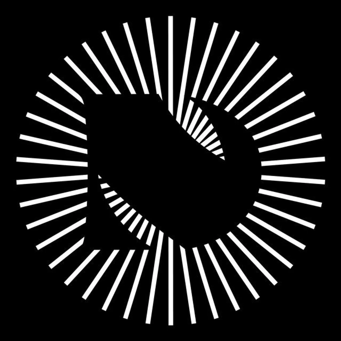 Desert Niños Brand Page